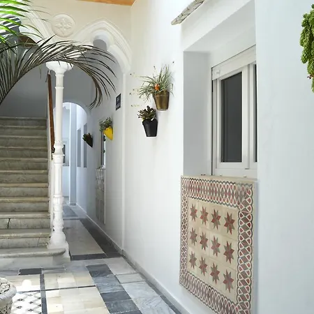 Apartment Atico 19 Dias Y Muchas Noches *