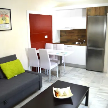 Atico 19 Dias Y Muchas Noches Apartment *